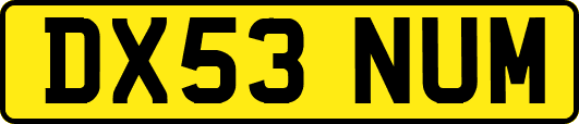 DX53NUM