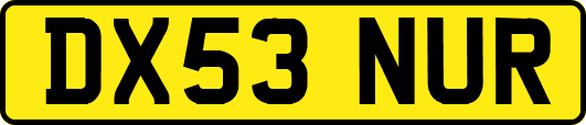 DX53NUR