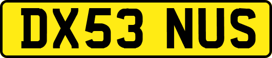 DX53NUS