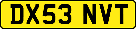 DX53NVT