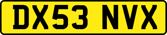 DX53NVX
