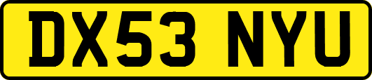 DX53NYU