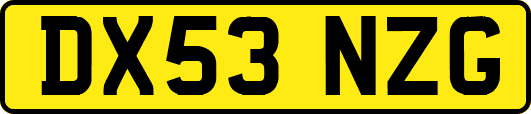 DX53NZG