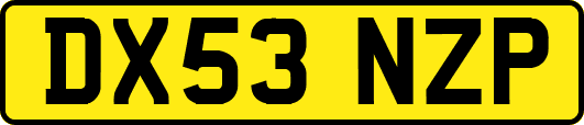 DX53NZP