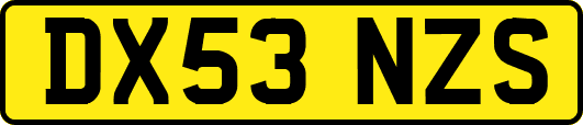 DX53NZS