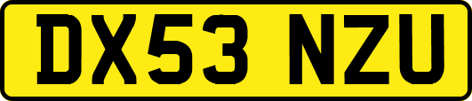 DX53NZU