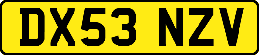 DX53NZV