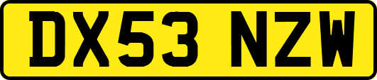 DX53NZW