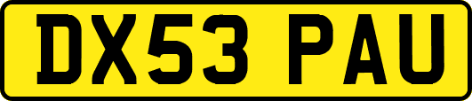 DX53PAU