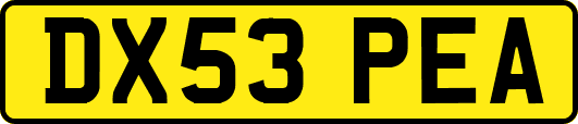 DX53PEA