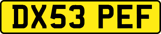 DX53PEF