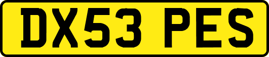 DX53PES