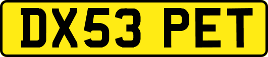 DX53PET
