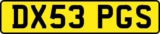 DX53PGS