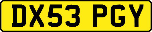 DX53PGY