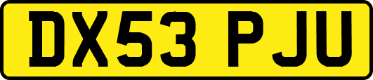 DX53PJU