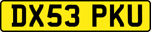 DX53PKU