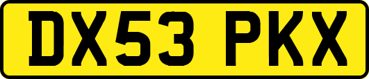 DX53PKX