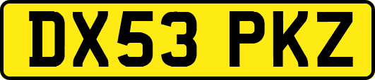 DX53PKZ