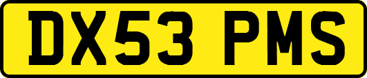 DX53PMS