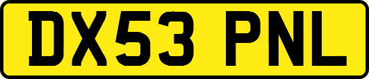 DX53PNL