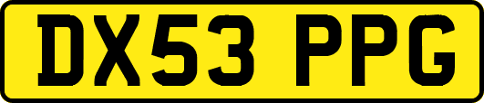 DX53PPG