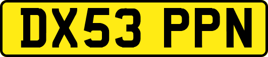 DX53PPN