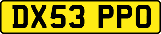 DX53PPO