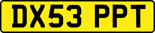 DX53PPT
