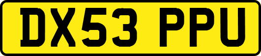 DX53PPU