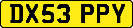 DX53PPY