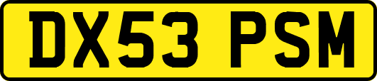 DX53PSM