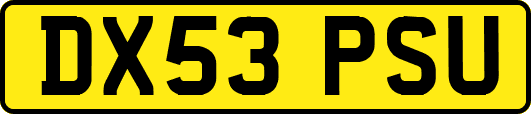 DX53PSU