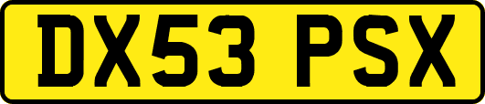 DX53PSX