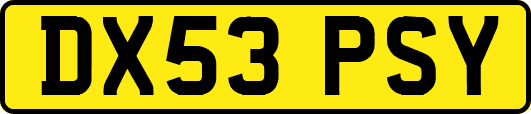 DX53PSY