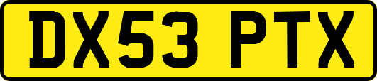 DX53PTX