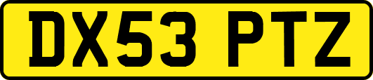 DX53PTZ
