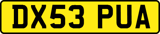 DX53PUA
