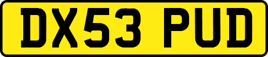 DX53PUD