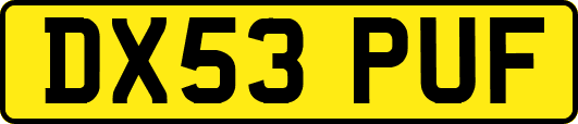 DX53PUF