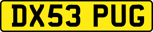 DX53PUG