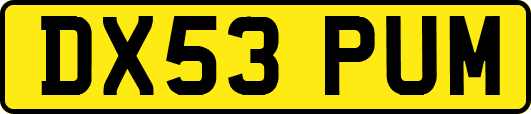 DX53PUM