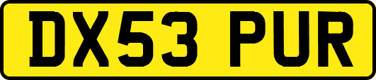 DX53PUR