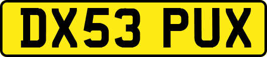 DX53PUX