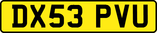DX53PVU