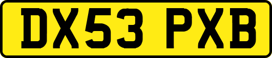 DX53PXB
