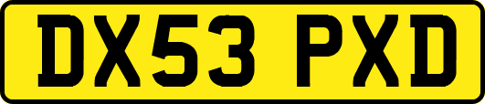 DX53PXD