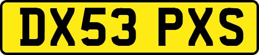 DX53PXS