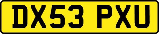 DX53PXU