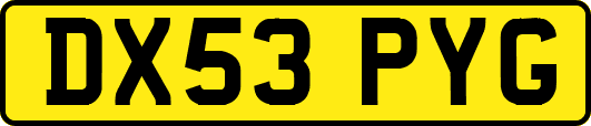 DX53PYG
